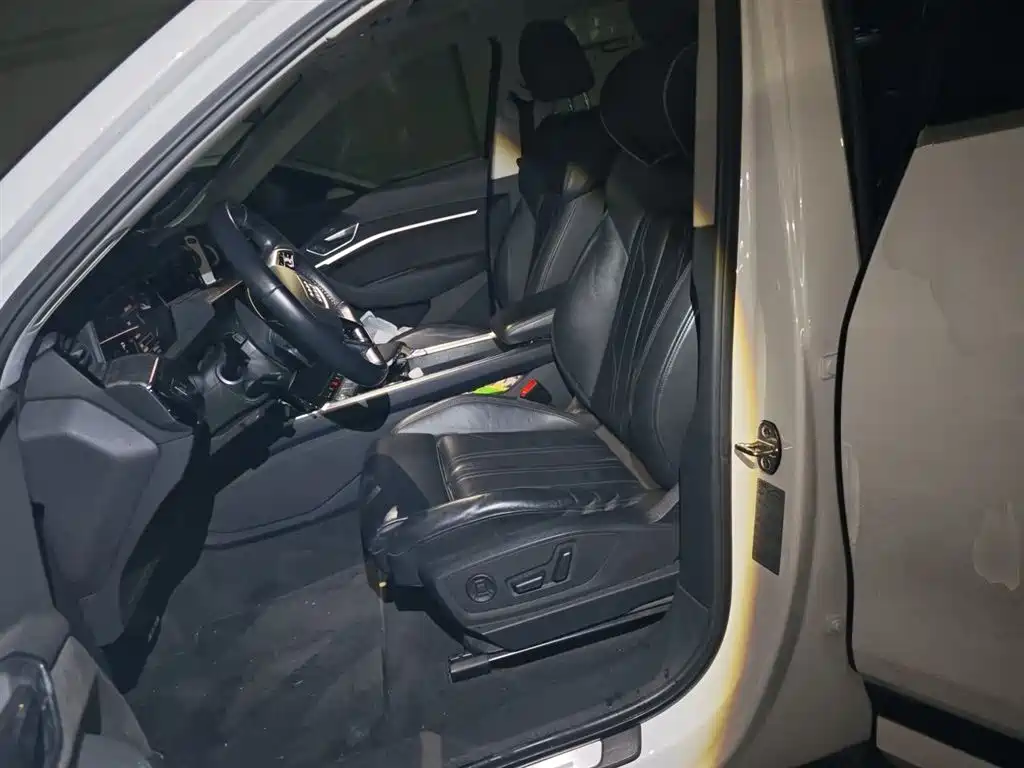 Audi e-tron (Import) 2019 55 quattro Technology фото 16
