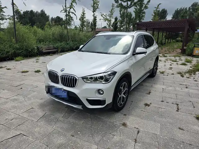BMW X1 2019 sDrive18Li Premium Model — фото 1