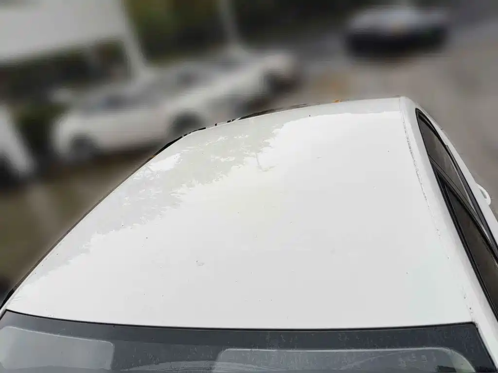 Photo 6 - Volkswagen Bora