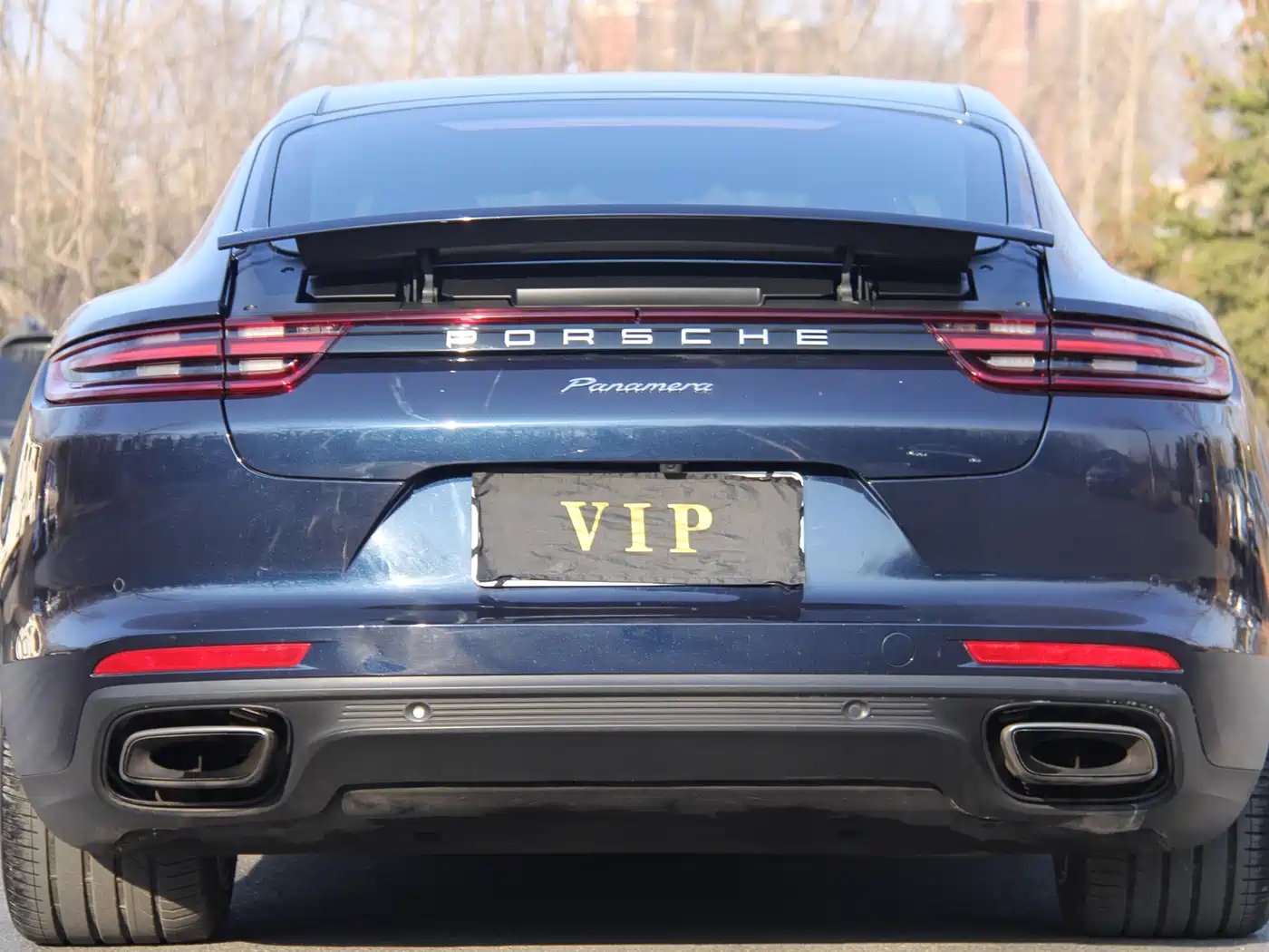 Porsche Panamera 2017 Panamera 3.0T фото 5