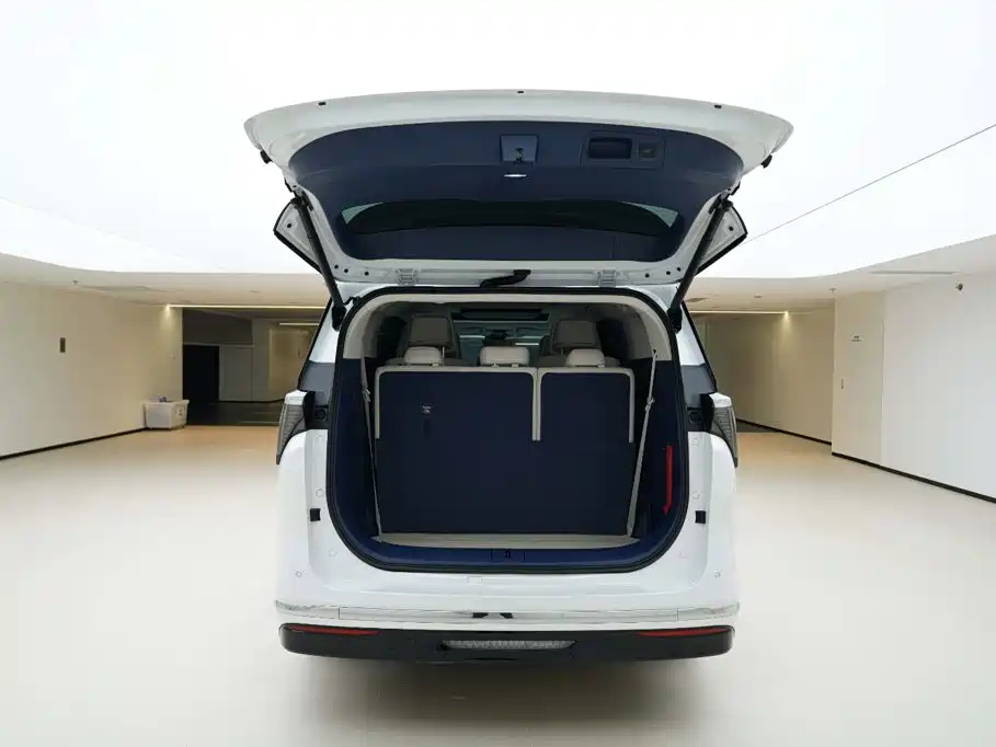 Фото 6 - Buick GL8 New Energy