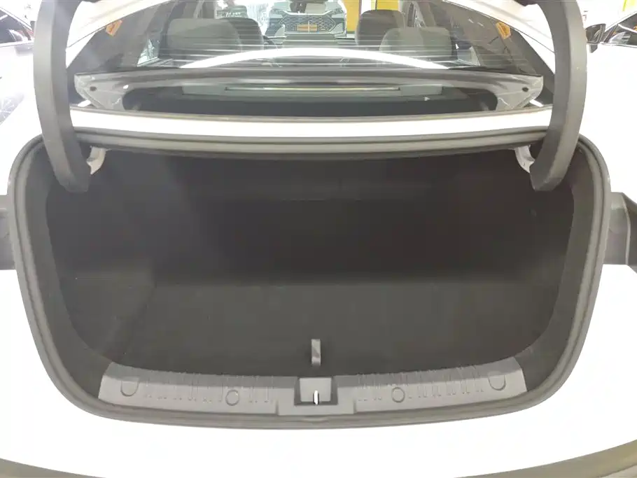 BYD Qin L 2024 DM-i 80KM Leading Edition фото 4
