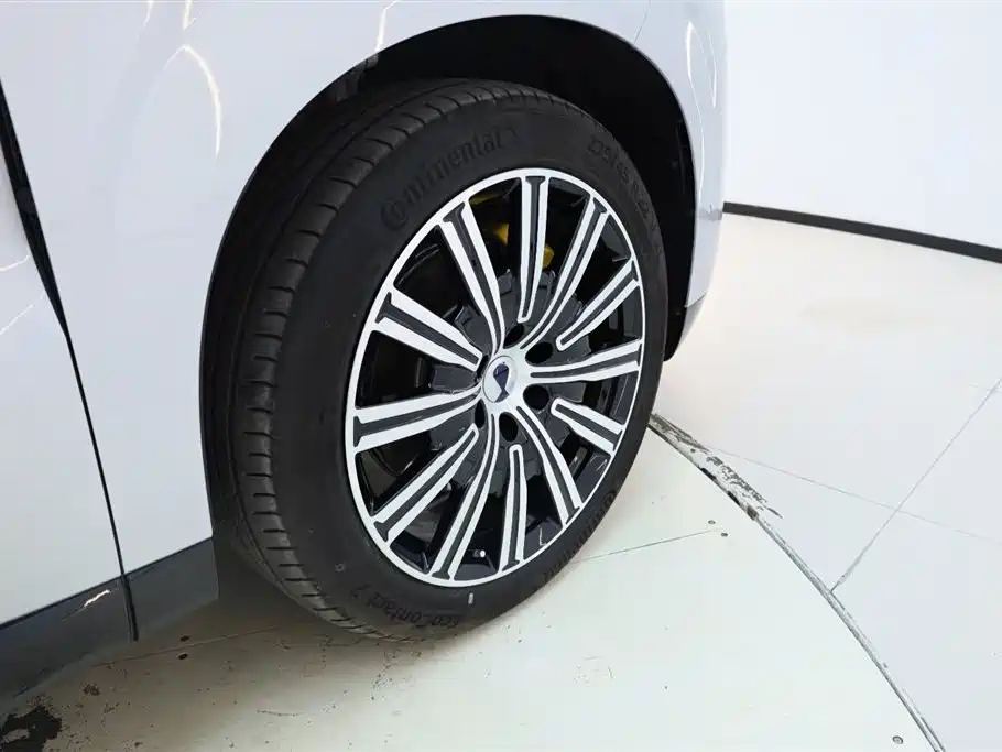 Denza N9 2025 Model Prestige Edition фото 13