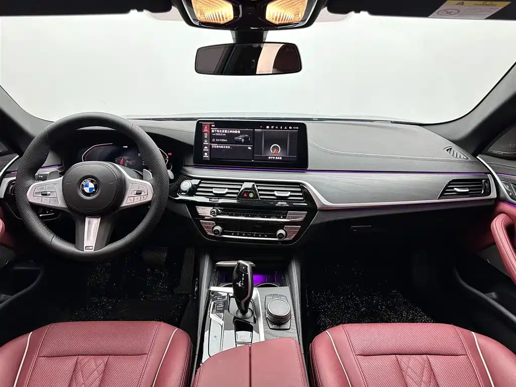BMW 5 SERIES