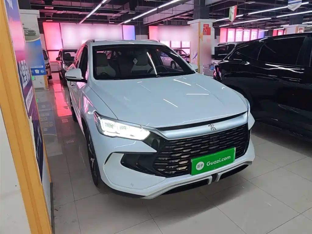 BYD Song Pro New Energy 2024 Glory Edition DM-i 71KM Pilot фото 4