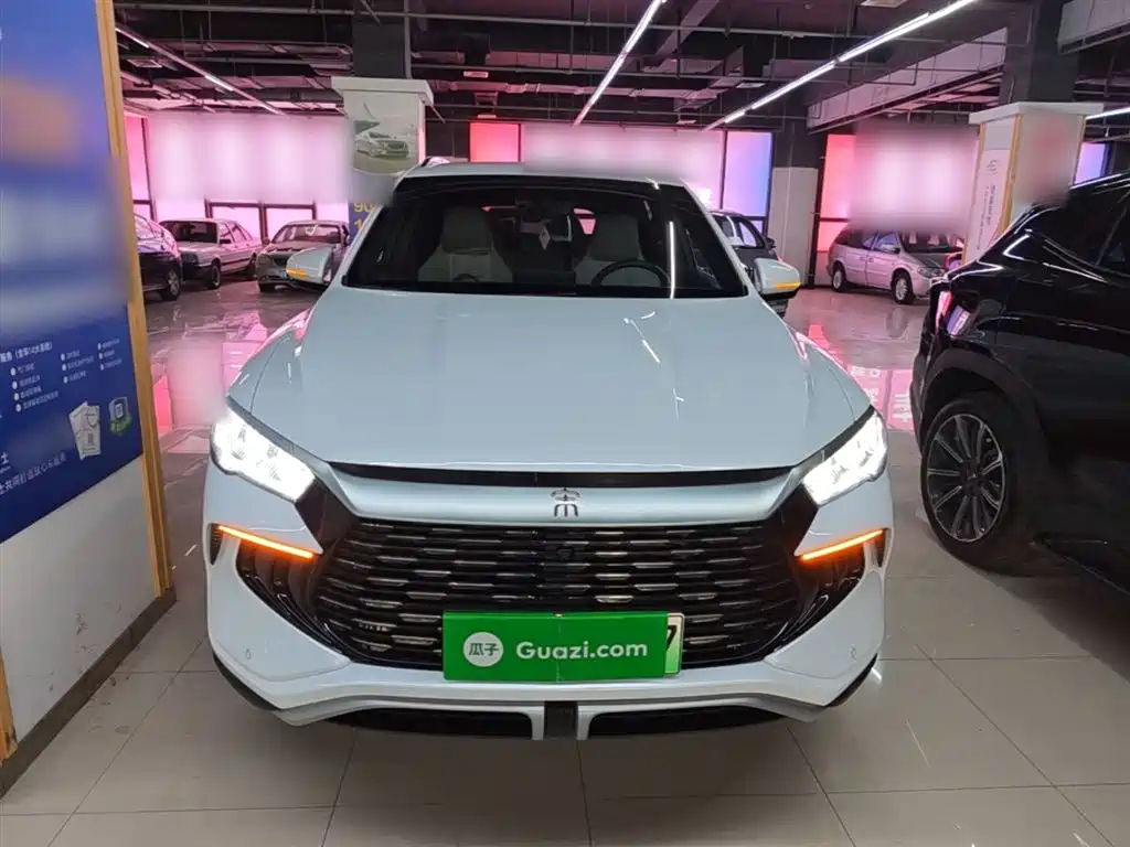 BYD Song Pro New Energy 2024 Glory Edition DM-i 71KM Pilot фото 3