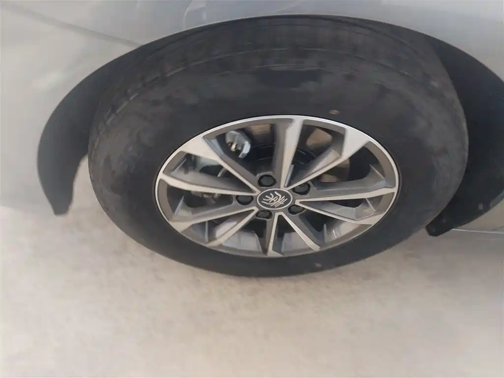 BYD Qin PLUS 2023 Champion Edition DM-i 55KM Leading фото 23
