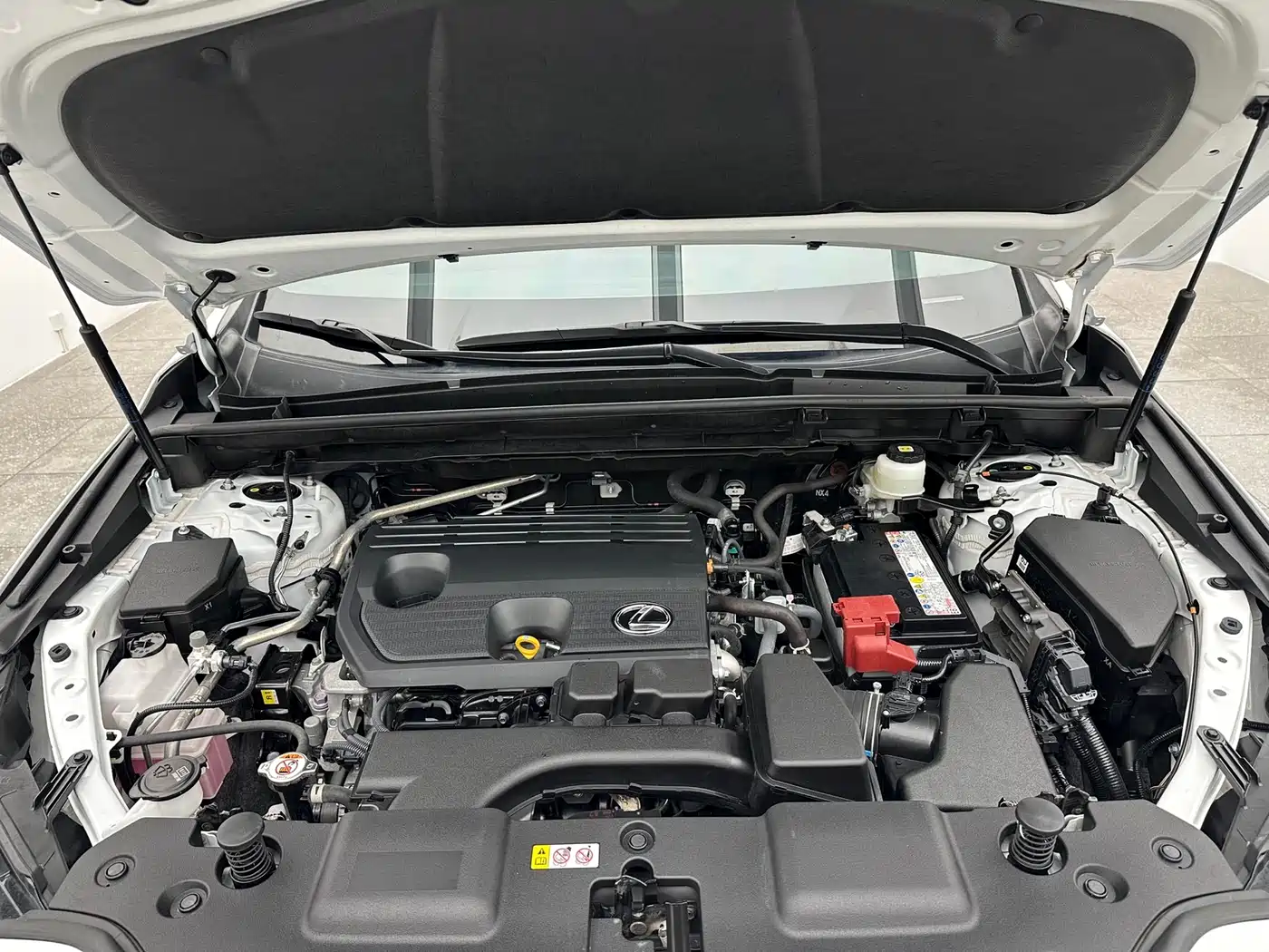 Lexus NX 2023 260 FWD Dynamic Edition фото 17