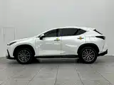 Фото 8 - Lexus NX