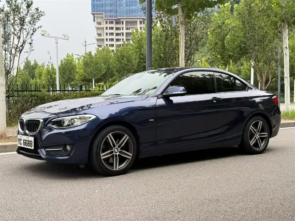 BMW 2 Series (Import) 2014 220i Leading фото 9