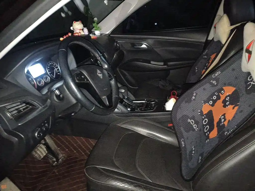 Borgward BX7 2017 2016 28T 2WD Luxury Edition 5-seater