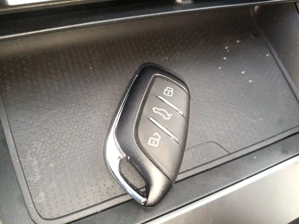 Roewe D5X DMH 2026 2024 Model 135 Technology Edition