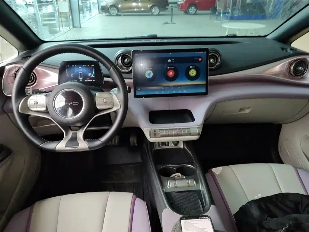 BYD Dolphin 2021 Model 405km Fashion Edition фото 10