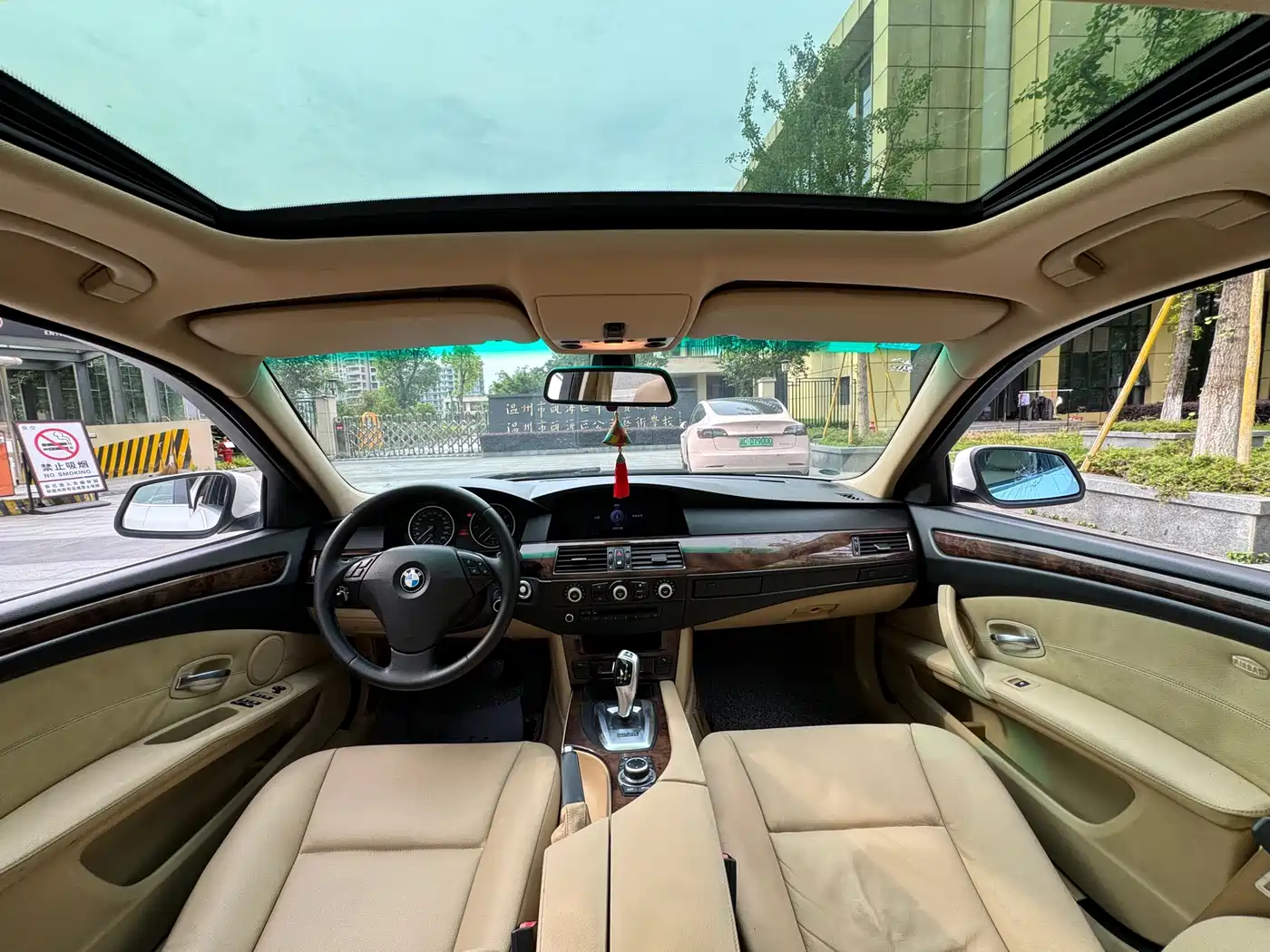 BMW 5 Series 2010 520Li Luxury фото 8