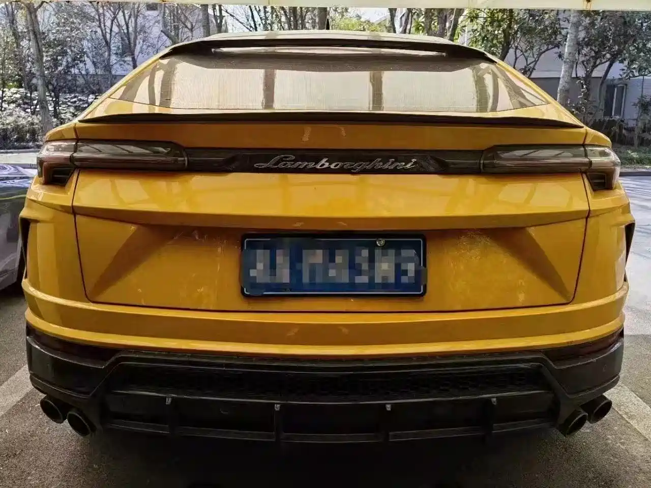 Lamborghini Urus 2021 4.0T V8 фото 4