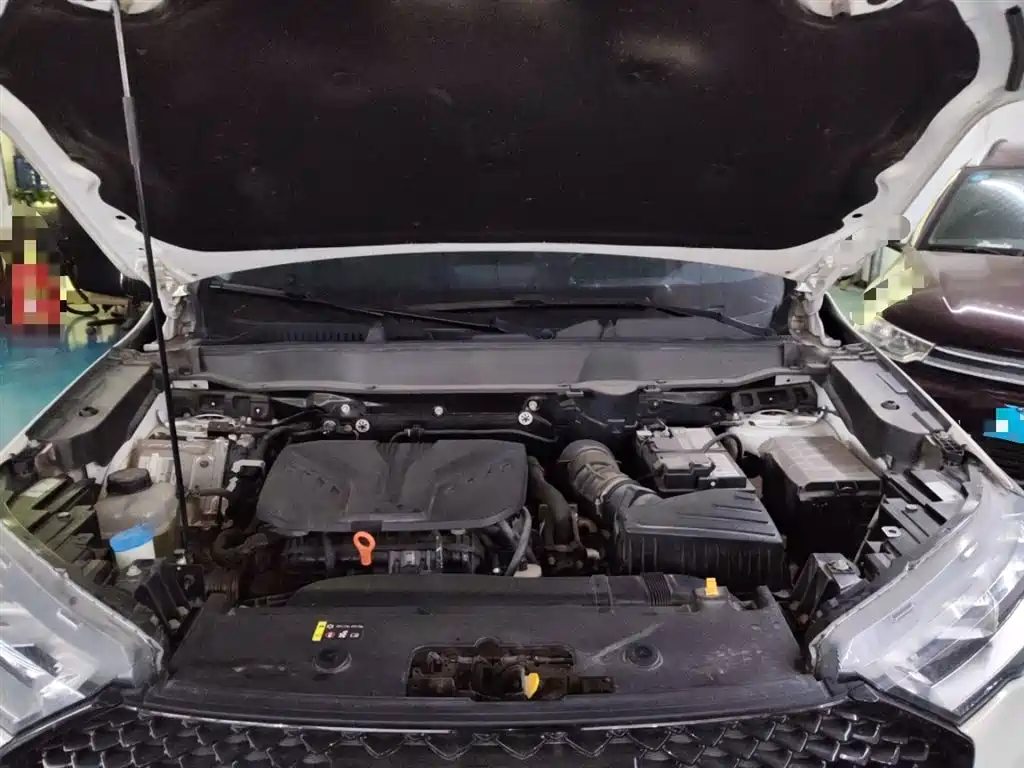 Haval H6 2021 3rd Generation 2.0T Auto 2WD Max фото 20