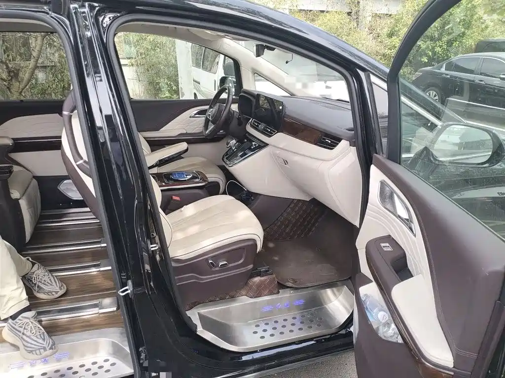 Hongqi HQ9 2023 2.0T Smart Connect Flagship фото 21