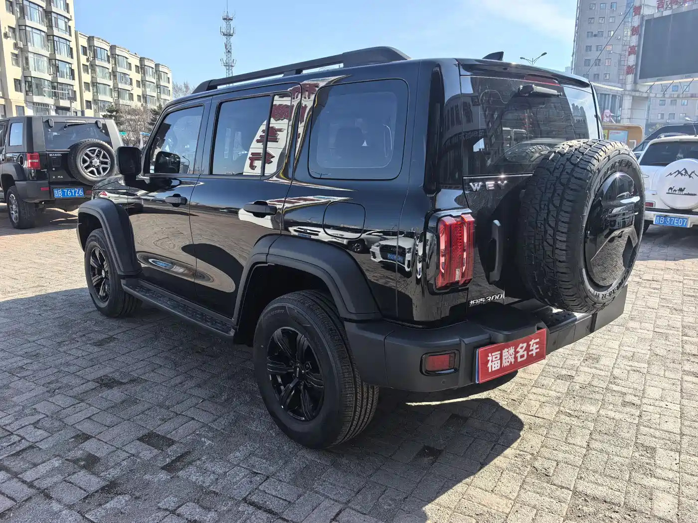 Tank 300 2021 Off-road Version 2.0T Conqueror фото 6