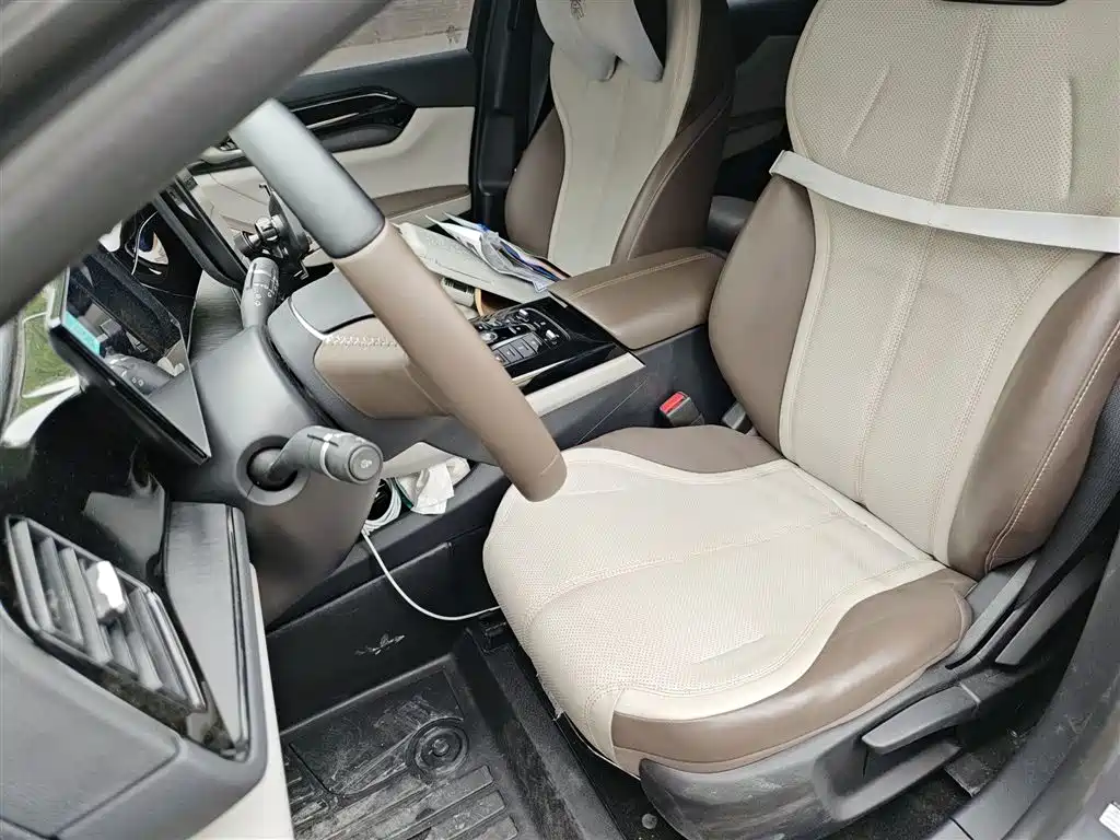 BYD Qin PLUS 2023 Champion Edition DM-i 55KM Leading фото 11