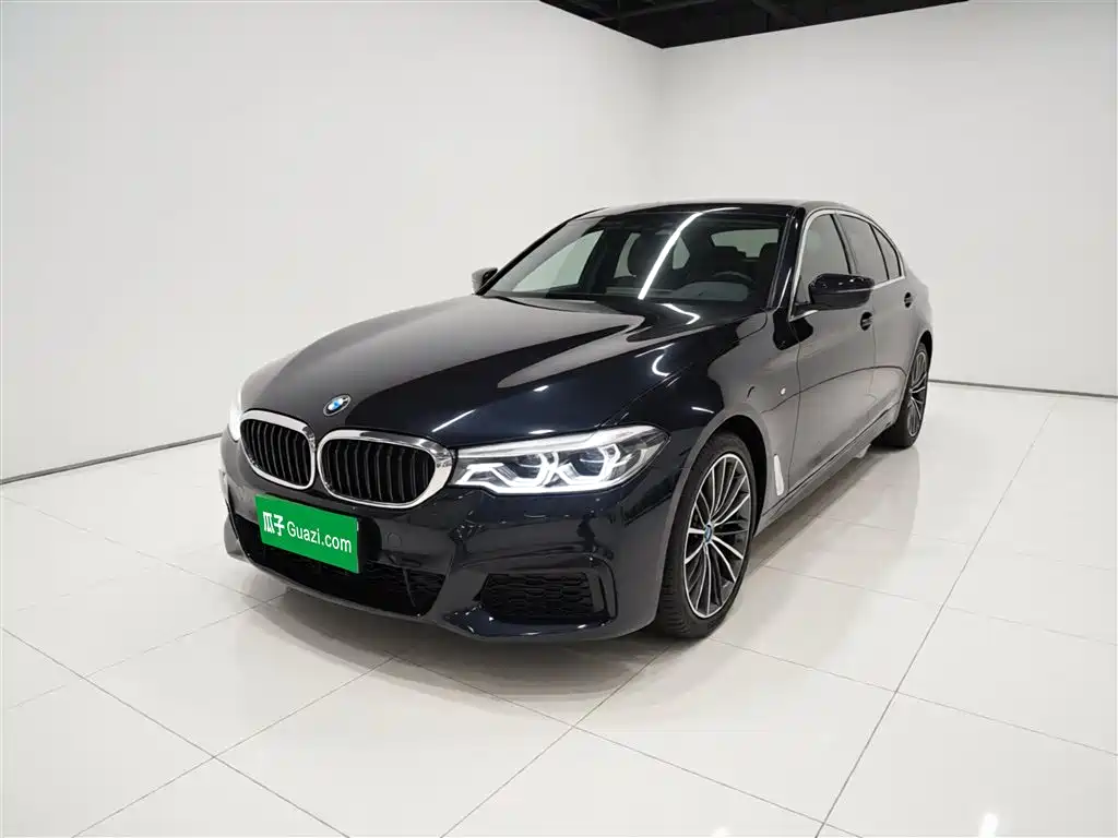 BMW 5 Series 2020 530Li Leading M Sport Package