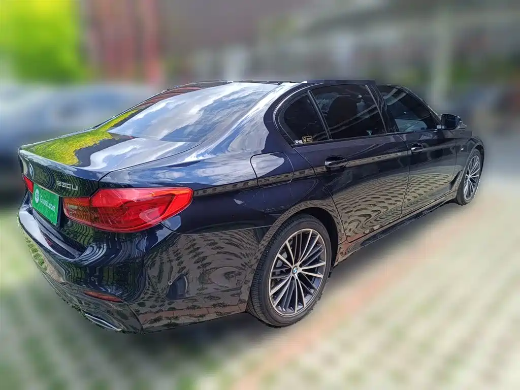BMW 5 Series 2019 Facelift 530Li xDrive M Sport Package фото 4