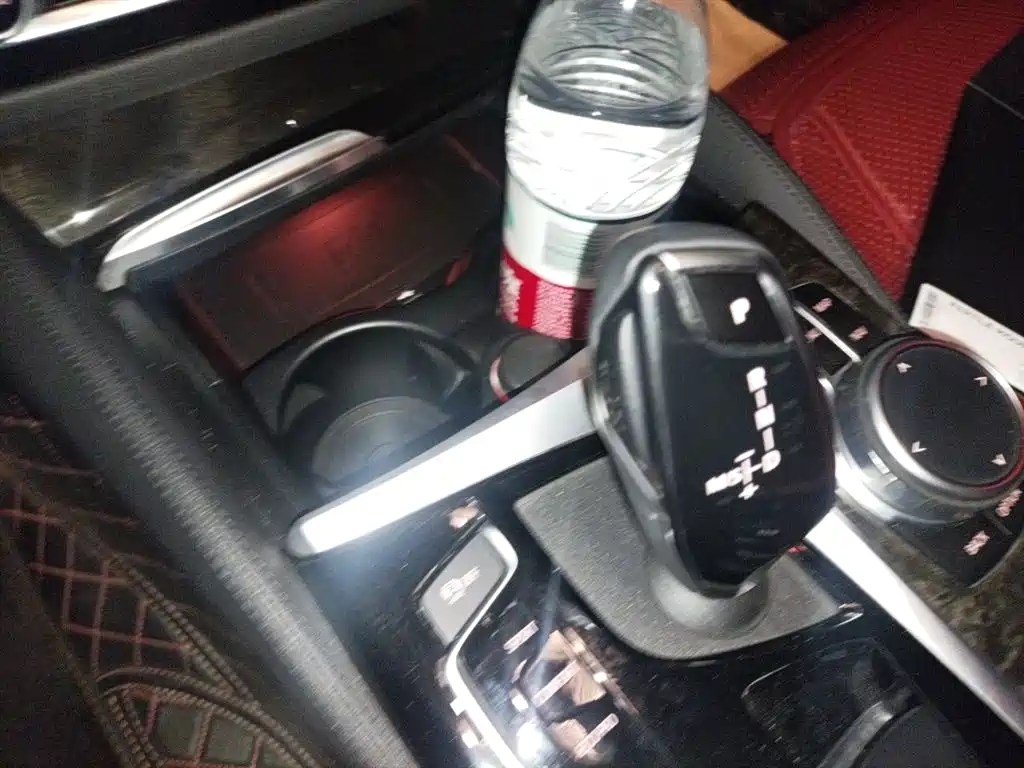 BMW 5 Series 2020 530Li Leading M Sport Package фото 15