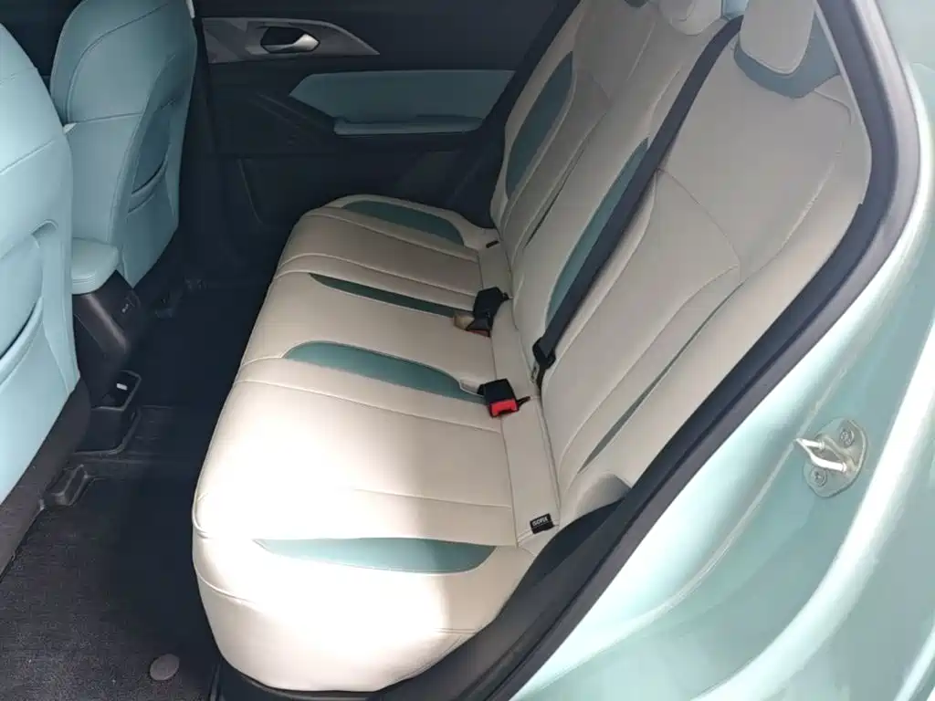 Geely Geometry E Firefly 2024 2024 Model 301km Starlight