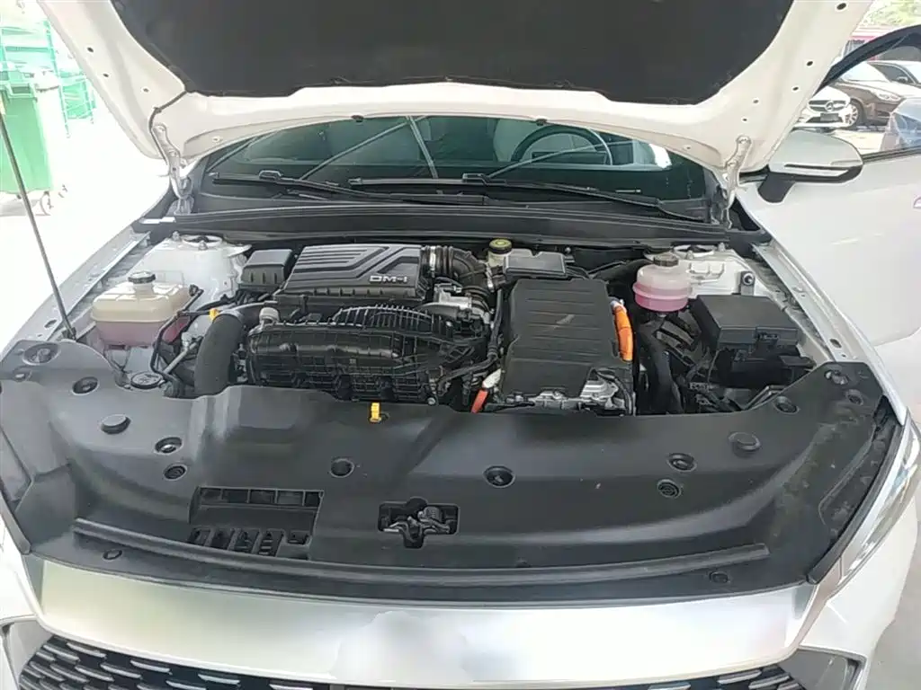 BYD Qin PLUS 2023 Champion Edition DM-i 55KM Leading фото 19