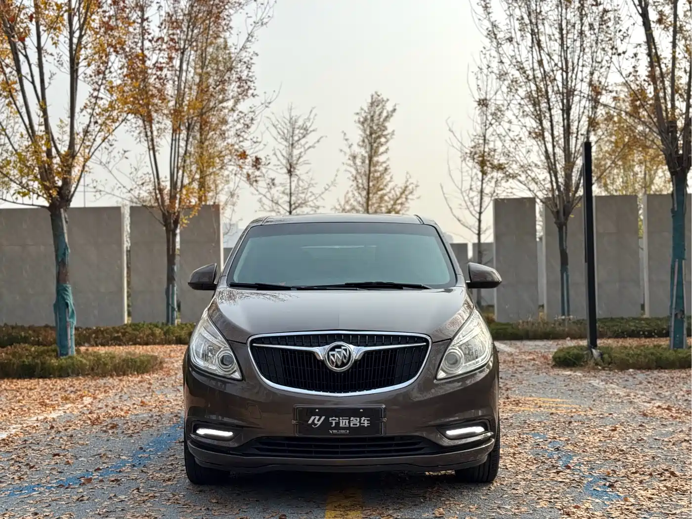 Buick GL8 2017 25S Luxury China V фото 2