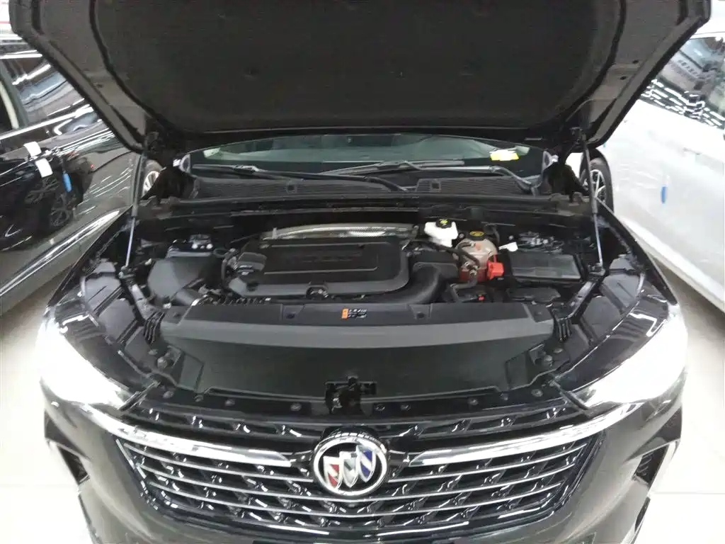 Buick Envision Plus 2021 Envision Plus 652T 5-seater Luxury фото 16