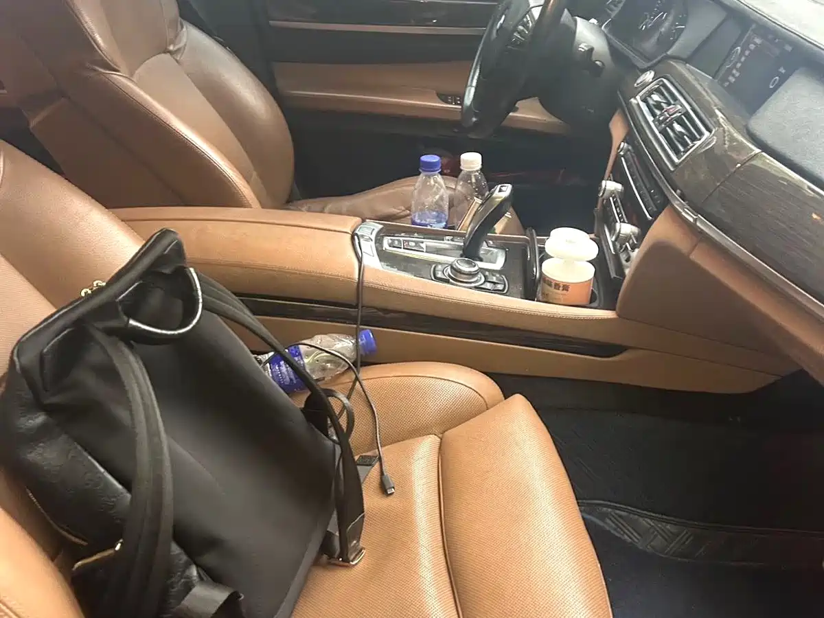 BMW 7 Series 2009 750Li Luxury фото 6