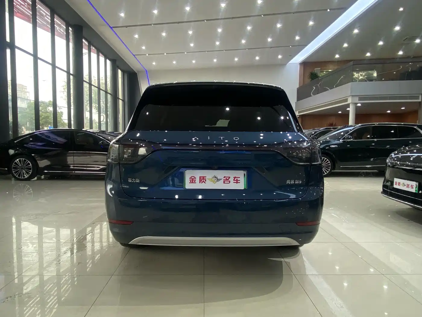 AITO Wenjie AITO M9 2024 Extended Range Ultra 42kWh 6-Seater фото 22