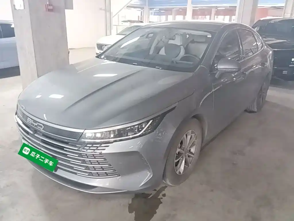 BYD Destroyer 05 2024