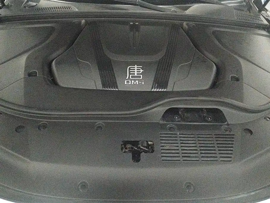BYD Tang New Energy 2024 DM-i Glory Edition 112KM Deluxe фото 10