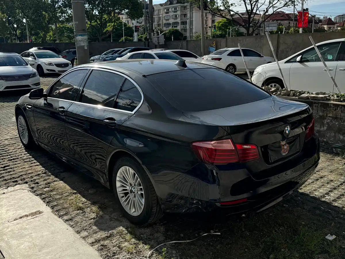BMW 5 Series 2014 525Li Leading фото 16