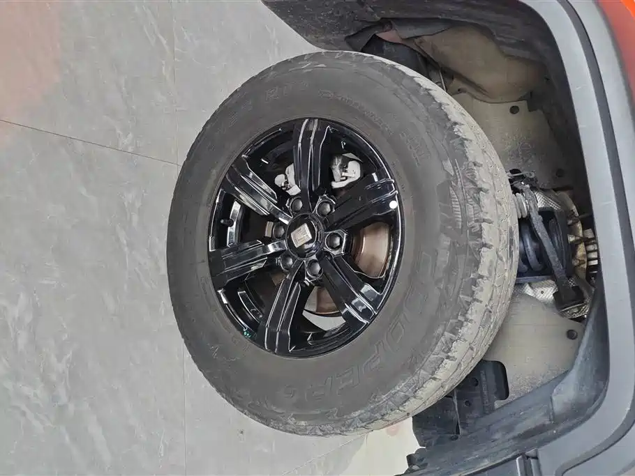 Tank 300 2021 Off-road Version 2.0T Conqueror фото 6