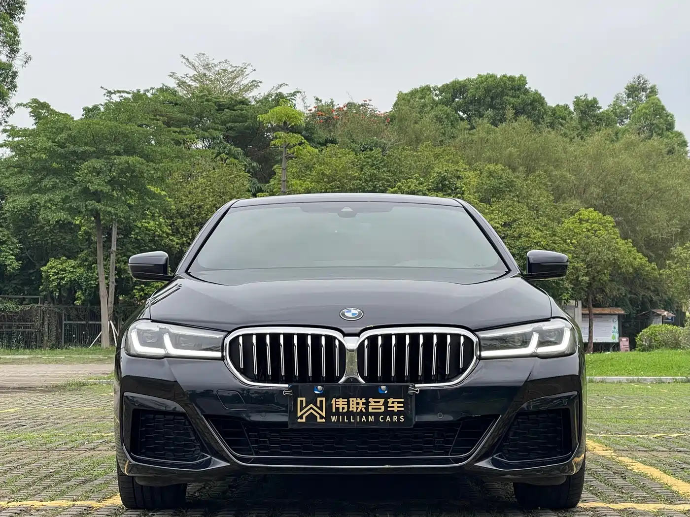 BMW 5 Series (Import) 2021 530i M Sport Package фото 2