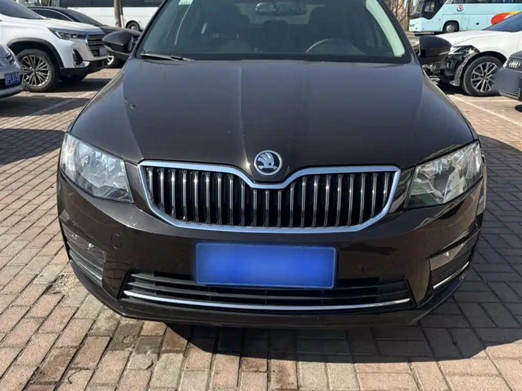 Škoda Octavia 2017 TSI280 DSG ZhiXing фото 8
