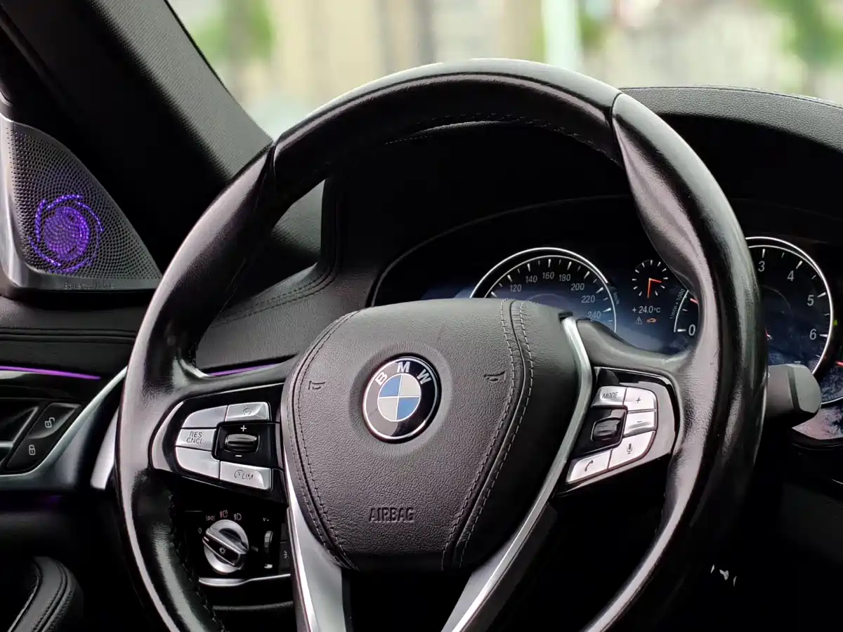 BMW 5 Series 2018 525Li M Sport Package фото 6