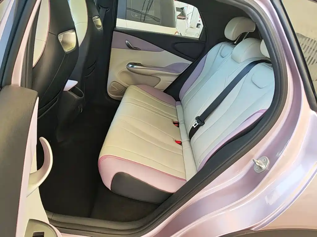 BYD Dolphin 2022 2021 Model 405km Fashion Edition