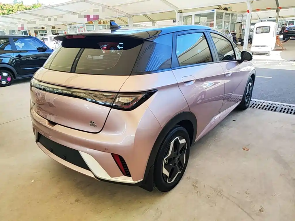 BYD Dolphin 2022 2021 Model 405km Fashion Edition