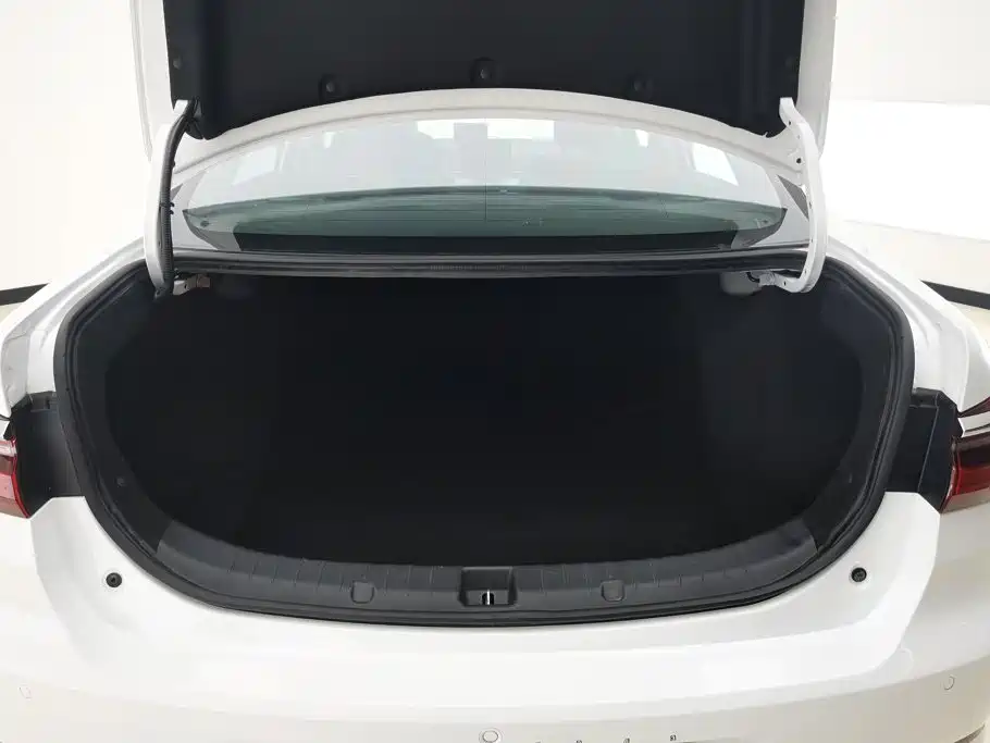 BYD Qin New Energy 2020 2019 Long Range Edition Premium