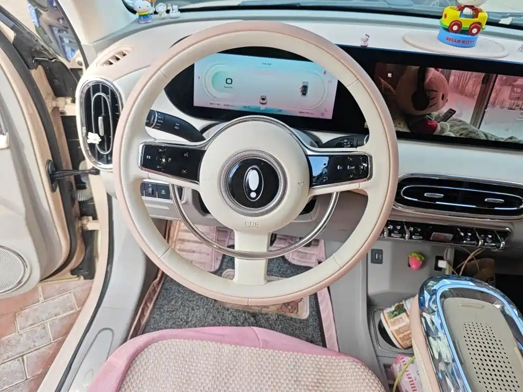 Ora Ballet Cat 2024 2023 500km Premium Model