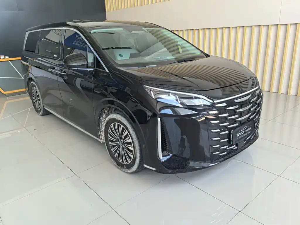 BYD Xia 2025 2025 DM-i 1.5T 180km Surpass Edition