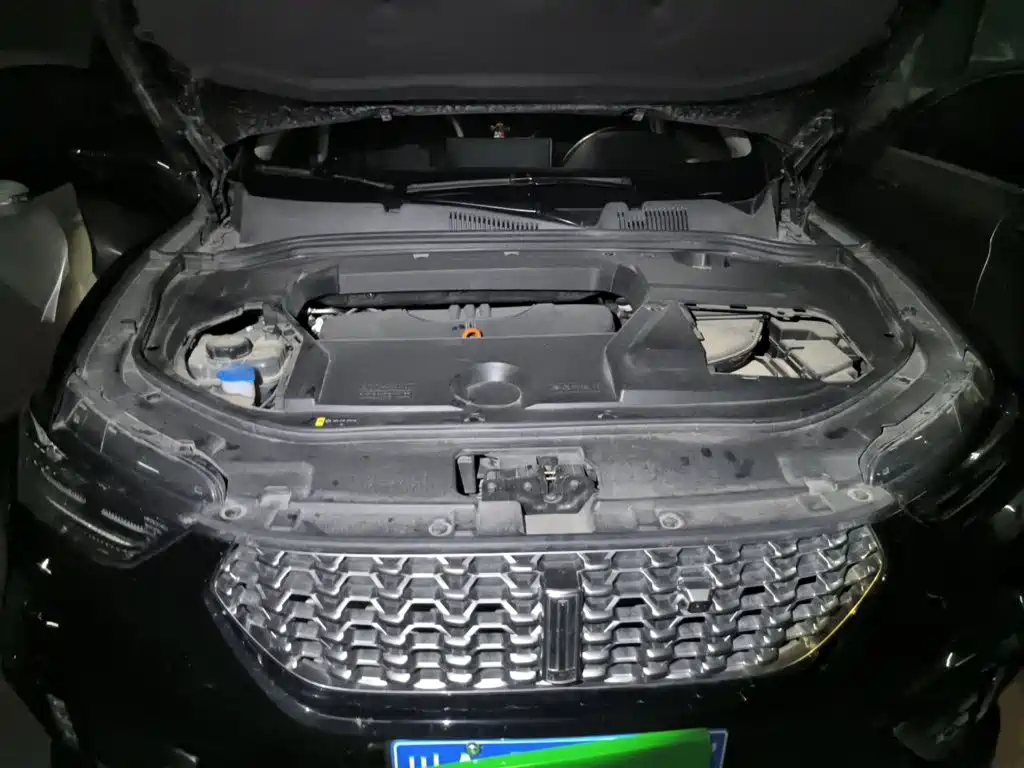 WEY VV5 2021 2021 1.5T 2WD Smart Pioneer