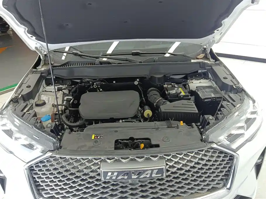 Haval H6 2022 3rd Gen 1.5T Auto 2WD Max фото 10