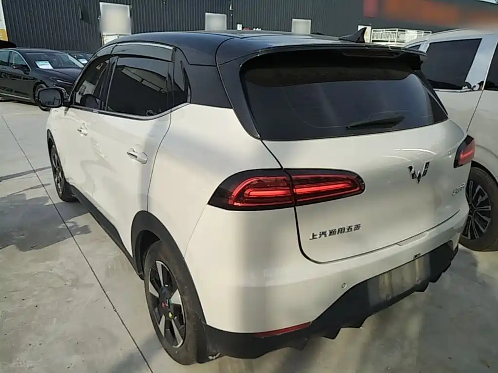 Wuling Motors Wuling Binguo PLUS 2025 2024 Model 330km 5-Seater
