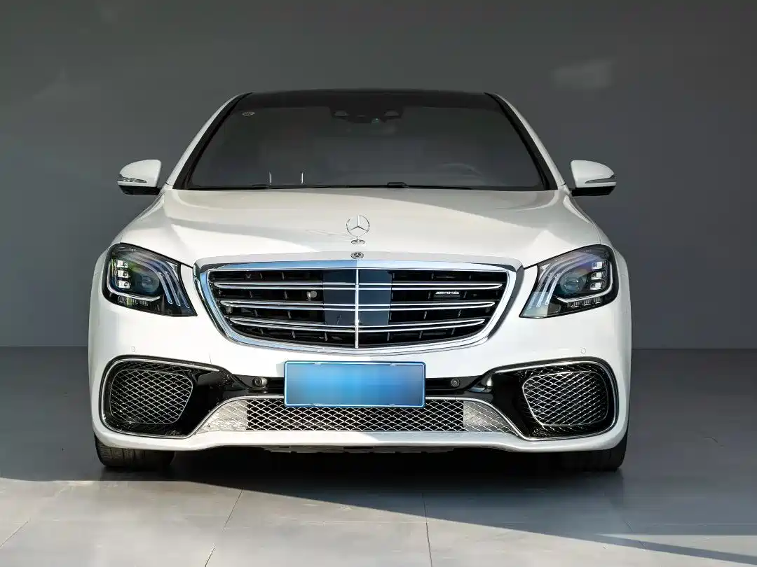 Mercedes-Benz S-Class AMG 2014 AMG S 65 L фото 2
