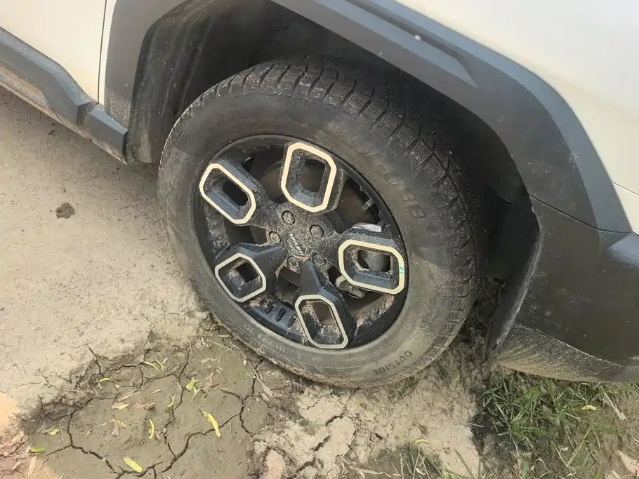 Haval Cool Dog 2023 2022 1.5T DCT 2WD Trend Edition