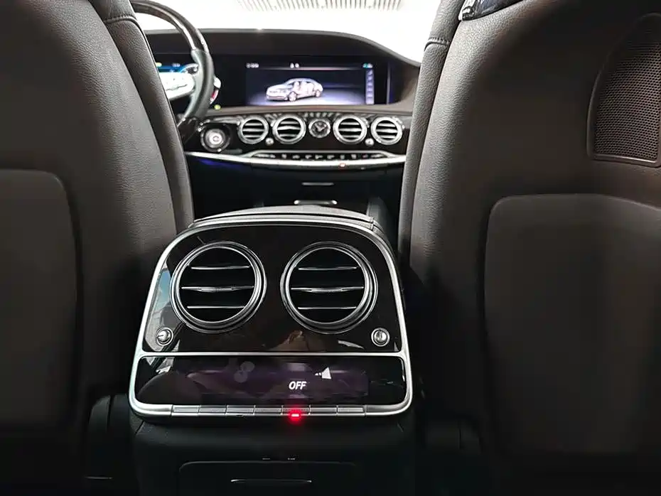Mercedes-Benz S-Class 2020 S 350 L Premium Edition Collector's Version фото 11